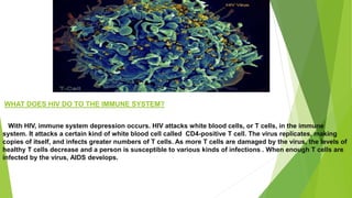 WHAT DOES HIV DO TO THE IMMUNE SYSTEM?
With HIV, immune system depression occurs. HIV attacks white blood cells, or T cells, in the immune
system. It attacks a certain kind of white blood cell called CD4-positive T cell. The virus replicates, making
copies of itself, and infects greater numbers of T cells. As more T cells are damaged by the virus, the levels of
healthy T cells decrease and a person is susceptible to various kinds of infections . When enough T cells are
infected by the virus, AIDS develops.
 