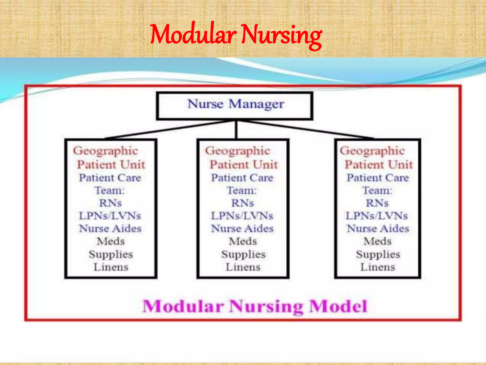 Modular Nursing
 