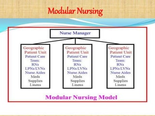 Modular Nursing
 