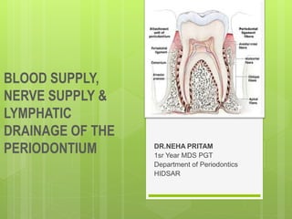 BLOOD SUPPLY,
NERVE SUPPLY &
LYMPHATIC
DRAINAGE OF THE
PERIODONTIUM DR.NEHA PRITAM
1sr Year MDS PGT
Department of Periodontics
HIDSAR
 