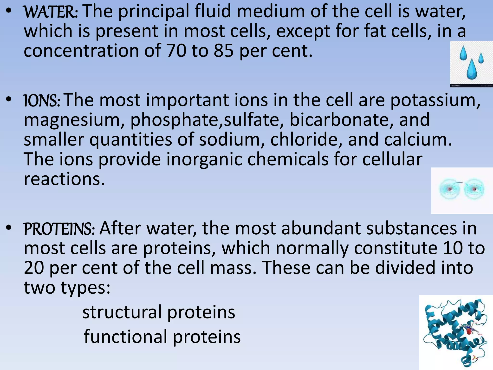 • WATER: The principal fluid medium of the cell is water,
which is present in most cells, except for fat cells, in a
concentration of 70 to 85 per cent.
• IONS: The most important ions in the cell are potassium,
magnesium, phosphate,sulfate, bicarbonate, and
smaller quantities of sodium, chloride, and calcium.
The ions provide inorganic chemicals for cellular
reactions.
• PROTEINS: After water, the most abundant substances in
most cells are proteins, which normally constitute 10 to
20 per cent of the cell mass. These can be divided into
two types:
structural proteins
functional proteins
 