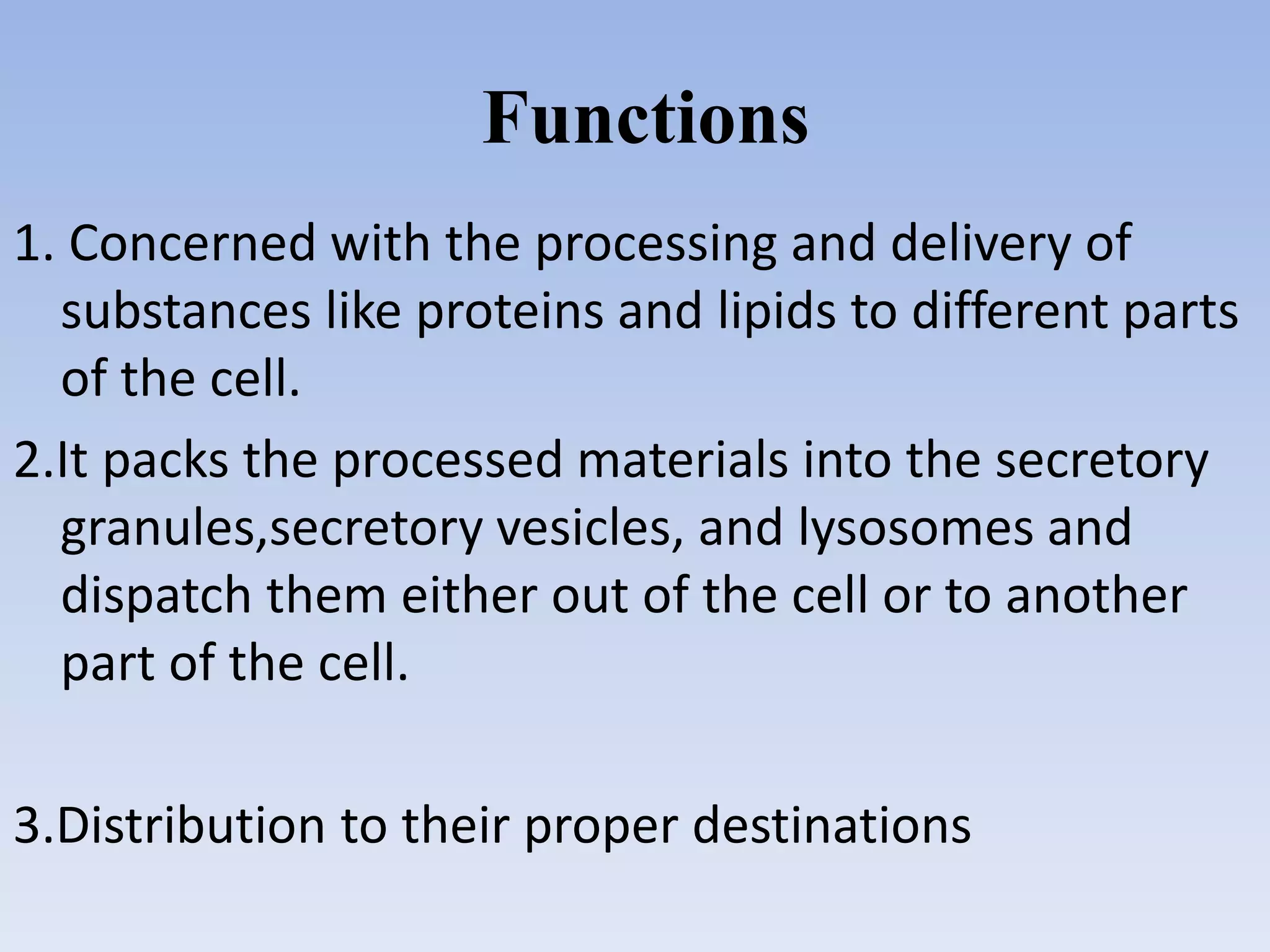 Functions
1. Concerned with the processing and delivery of
substances like proteins and lipids to different parts
of the cell.
2.It packs the processed materials into the secretory
granules,secretory vesicles, and lysosomes and
dispatch them either out of the cell or to another
part of the cell.
3.Distribution to their proper destinations
 