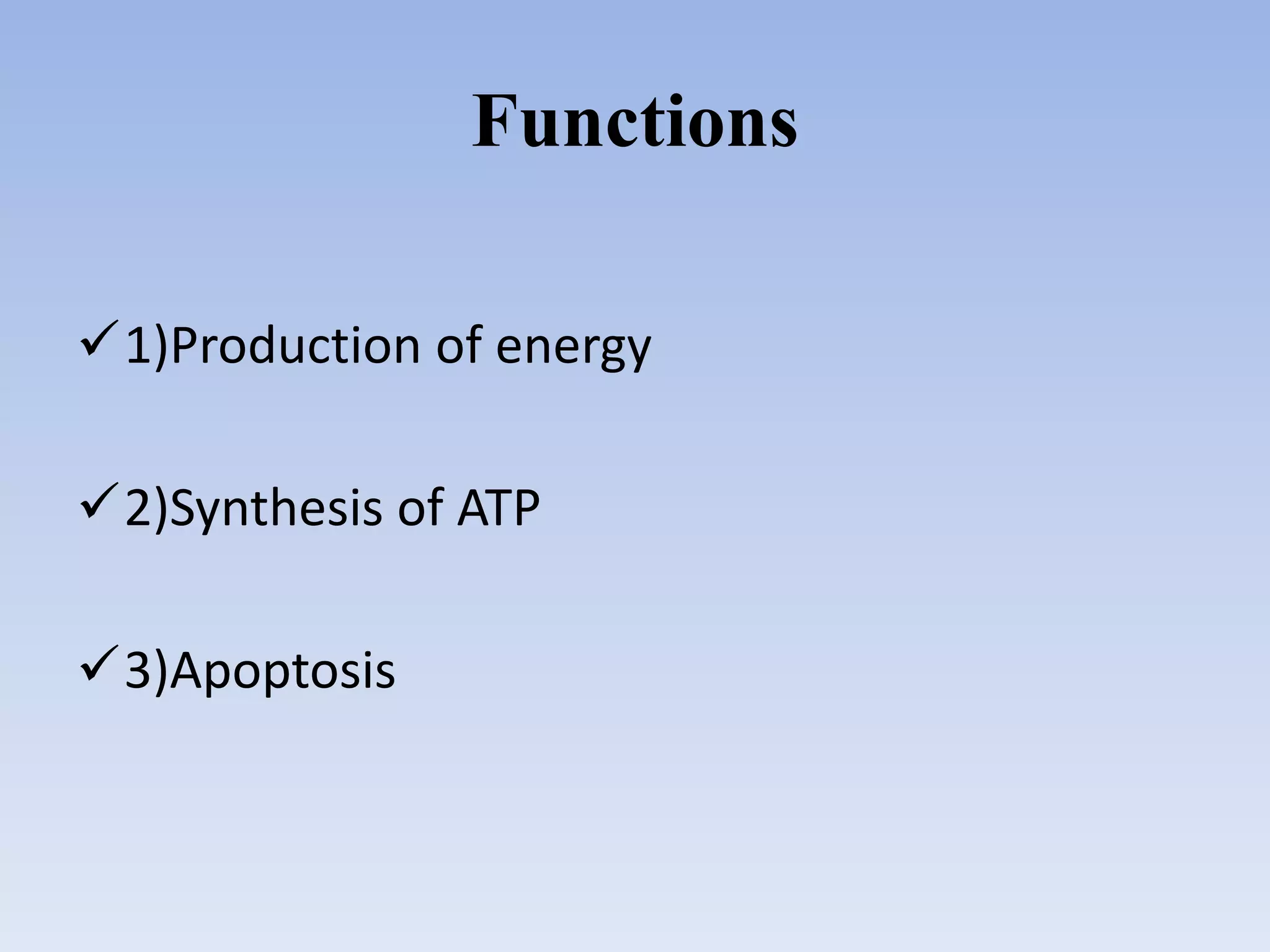 Functions
1)Production of energy
2)Synthesis of ATP
3)Apoptosis
 