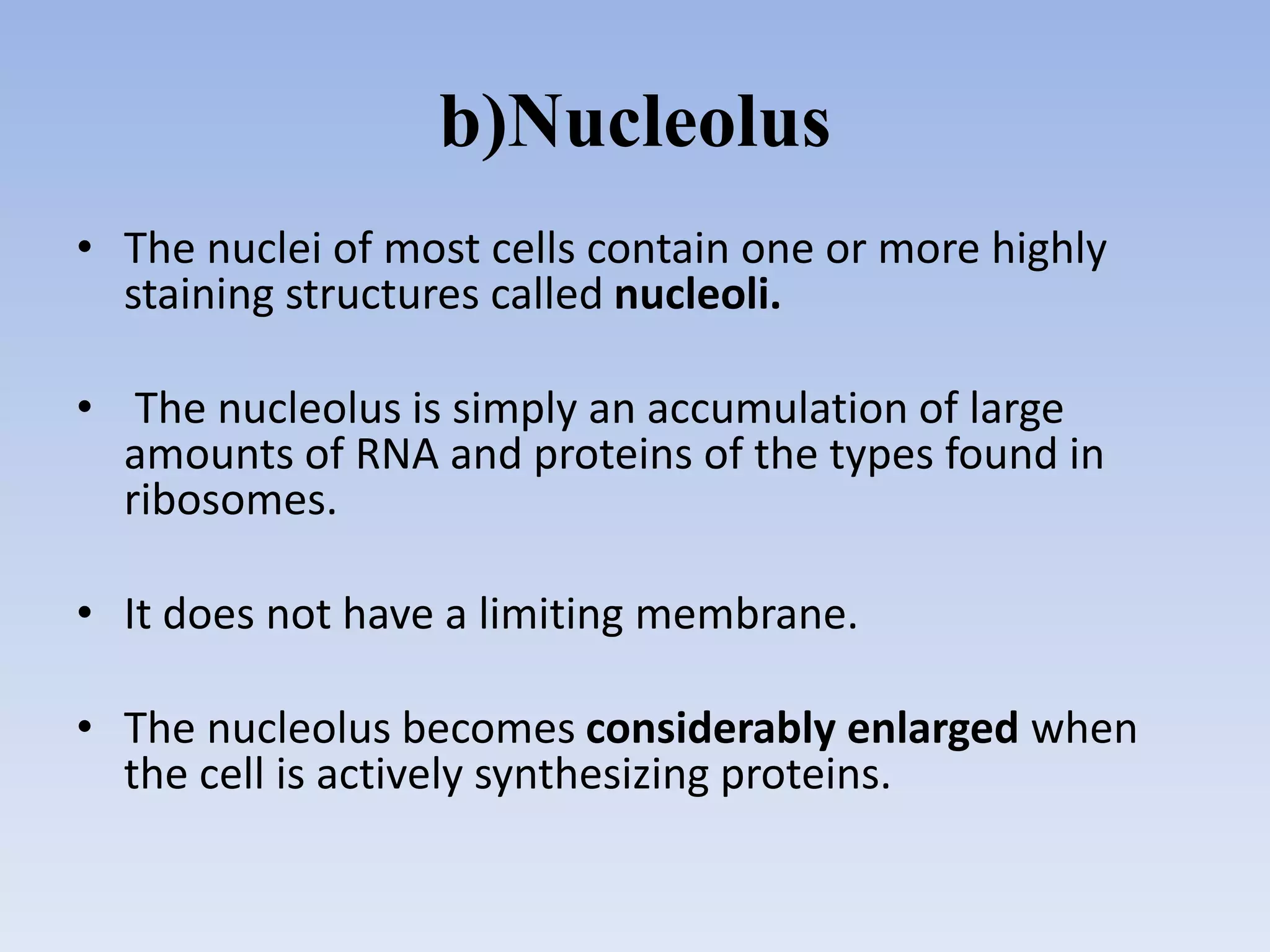b)Nucleolus
• The nuclei of most cells contain one or more highly
staining structures called nucleoli.
• The nucleolus is simply an accumulation of large
amounts of RNA and proteins of the types found in
ribosomes.
• It does not have a limiting membrane.
• The nucleolus becomes considerably enlarged when
the cell is actively synthesizing proteins.
 