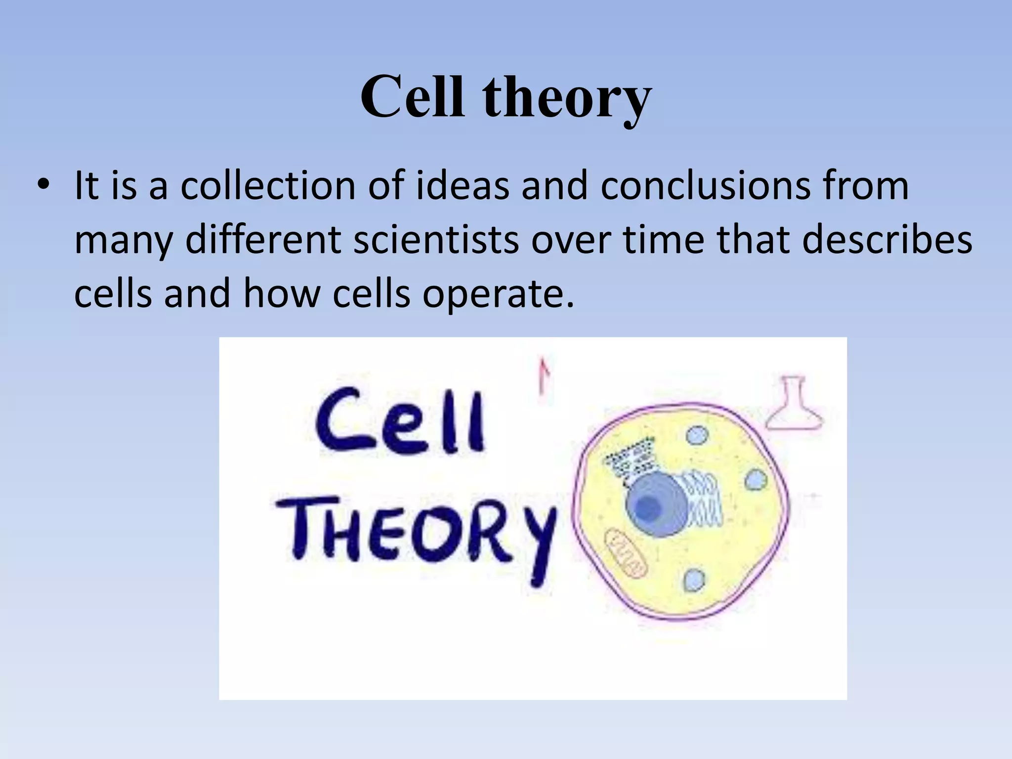 Cell theory
• It is a collection of ideas and conclusions from
many different scientists over time that describes
cells and how cells operate.
 