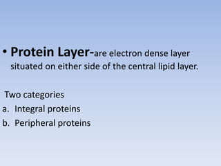 • Protein Layer-are electron dense layer
situated on either side of the central lipid layer.
Two categories
a. Integral proteins
b. Peripheral proteins
 