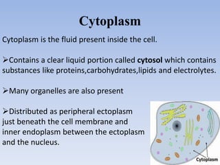 Cytoplasm
Cytoplasm is the fluid present inside the cell.
Contains a clear liquid portion called cytosol which contains
substances like proteins,carbohydrates,lipids and electrolytes.
Many organelles are also present
Distributed as peripheral ectoplasm
just beneath the cell membrane and
inner endoplasm between the ectoplasm
and the nucleus.
 