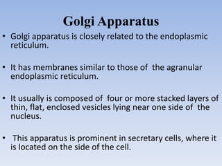 Golgi Apparatus
• Golgi apparatus is closely related to the endoplasmic
reticulum.
• It has membranes similar to those of the agranular
endoplasmic reticulum.
• It usually is composed of four or more stacked layers of
thin, flat, enclosed vesicles lying near one side of the
nucleus.
• This apparatus is prominent in secretary cells, where it
is located on the side of the cell.
 