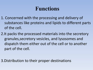 Functions
1. Concerned with the processing and delivery of
substances like proteins and lipids to different parts
of the cell.
2.It packs the processed materials into the secretory
granules,secretory vesicles, and lysosomes and
dispatch them either out of the cell or to another
part of the cell.
3.Distribution to their proper destinations
 