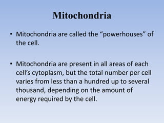 Mitochondria
• Mitochondria are called the “powerhouses” of
the cell.
• Mitochondria are present in all areas of each
cell’s cytoplasm, but the total number per cell
varies from less than a hundred up to several
thousand, depending on the amount of
energy required by the cell.
 