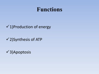 Functions
1)Production of energy
2)Synthesis of ATP
3)Apoptosis
 