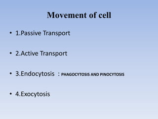 Movement of cell
• 1.Passive Transport
• 2.Active Transport
• 3.Endocytosis : PHAGOCYTOSIS AND PINOCYTOSIS
• 4.Exocytosis
 