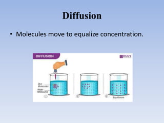 Diffusion
• Molecules move to equalize concentration.
 