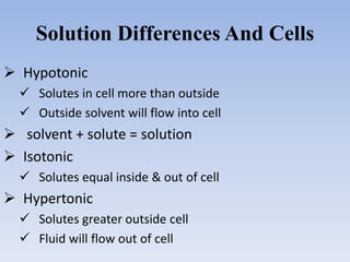 Solution Differences And Cells
 Hypotonic
 Solutes in cell more than outside
 Outside solvent will flow into cell
 solvent + solute = solution
 Isotonic
 Solutes equal inside & out of cell
 Hypertonic
 Solutes greater outside cell
 Fluid will flow out of cell
 