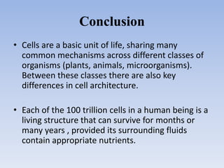 Conclusion
• Cells are a basic unit of life, sharing many
common mechanisms across different classes of
organisms (plants, animals, microorganisms).
Between these classes there are also key
differences in cell architecture.
• Each of the 100 trillion cells in a human being is a
living structure that can survive for months or
many years , provided its surrounding fluids
contain appropriate nutrients.
 