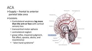 Seminar Cerebral neurolocalization | PPTX