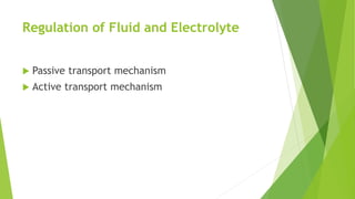 Regulation of Fluid and Electrolyte
 Passive transport mechanism
 Active transport mechanism
 