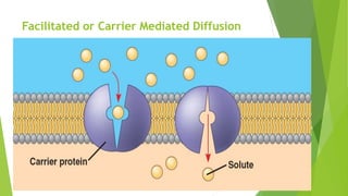 Facilitated or Carrier Mediated Diffusion
 