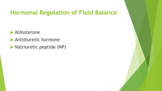 Hormonal Regulation of Fluid Balance
 Aldosterone
 Antidiuretic hormone
 Natriuretic peptide (NP)
 