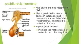 Antidiuretic hormone
 Also called arginine vasopressin
(AVP).
 ADH is produced in neuron cell
bodies in supraoptic and
paraventricular nuclei of the
Hypothalamus, and stored in
posterior pituitary.
 Physiological function
Promote the reabsorption of
water in the collecting duct.
 