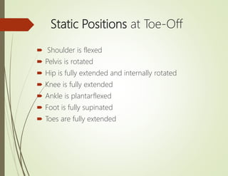 Gait and its analysis | PPTX