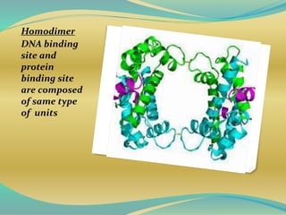 Seminar on gene regulation | PPTX