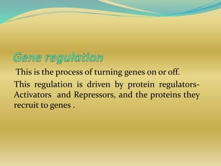 Seminar on gene regulation | PPTX