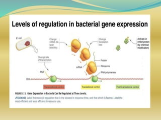 Seminar on gene regulation | PPTX