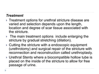 Seminar on genitourinary system | PPTX