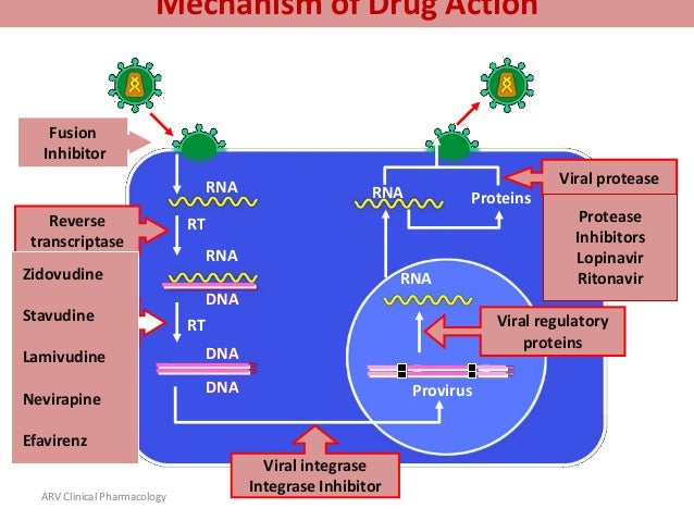How fast does ivermectin work on scabies
