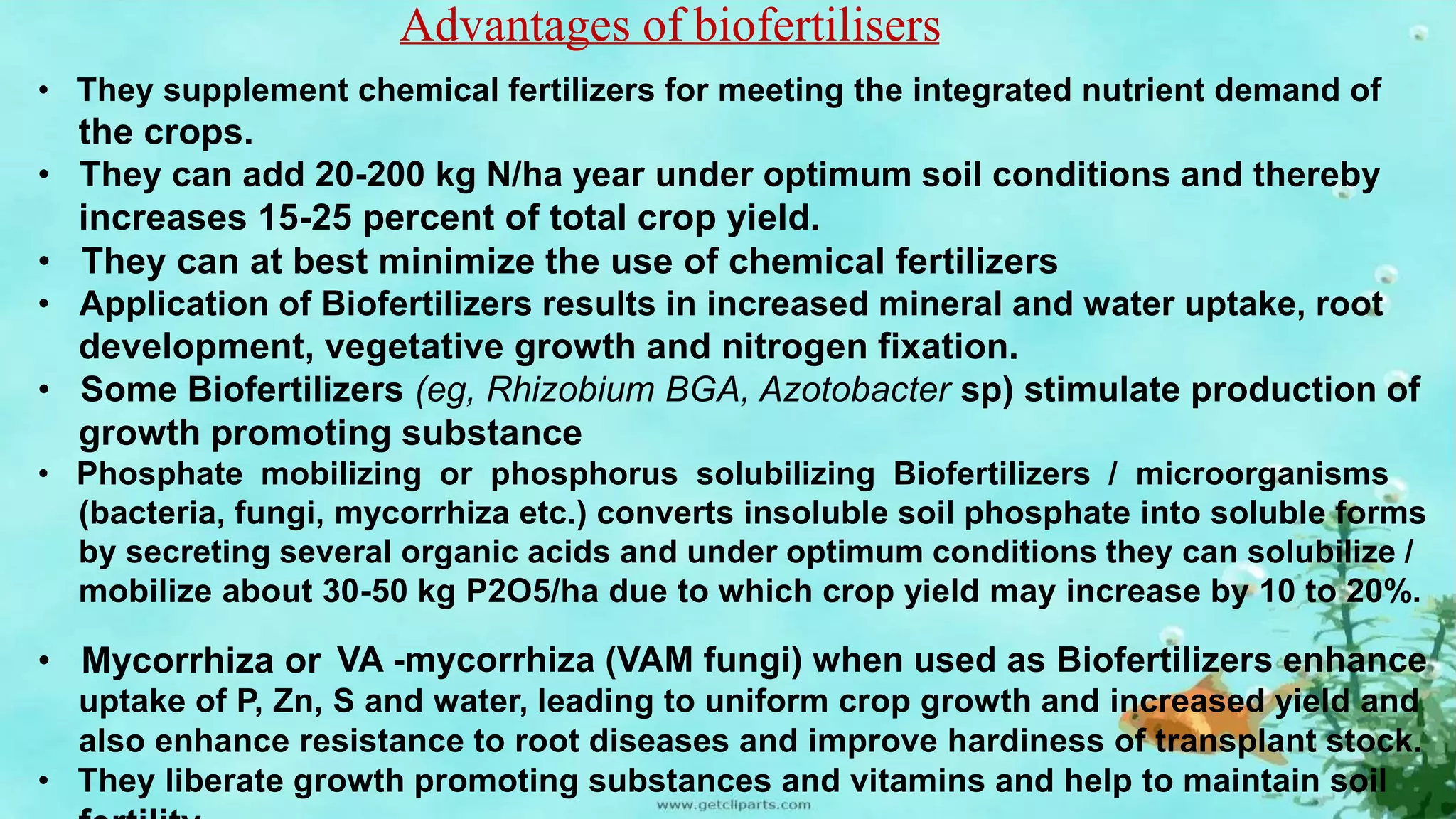 Advantages of biofertilisers
• They supplement chemical fertilizers for meeting the integrated nutrient demand of
the crops.
• They can add 20-200 kg N/ha year under optimum soil conditions and thereby
increases 15-25 percent of total crop yield.
• They can at best minimize the use of chemical fertilizers
• Application of Biofertilizers results in increased mineral and water uptake, root
development, vegetative growth and nitrogen fixation.
• Some Biofertilizers (eg, Rhizobium BGA, Azotobacter sp) stimulate production of
growth promoting substance
• Phosphate mobilizing or phosphorus solubilizing Biofertilizers / microorganisms
(bacteria, fungi, mycorrhiza etc.) converts insoluble soil phosphate into soluble forms
by secreting several organic acids and under optimum conditions they can solubilize /
mobilize about 30-50 kg P2O5/ha due to which crop yield may increase by 10 to 20%.
• Mycorrhiza or VA -mycorrhiza (VAM fungi) when used as Biofertilizers enhance
uptake of P, Zn, S and water, leading to uniform crop growth and increased yield and
also enhance resistance to root diseases and improve hardiness of transplant stock.
• They liberate growth promoting substances and vitamins and help to maintain soil
 
