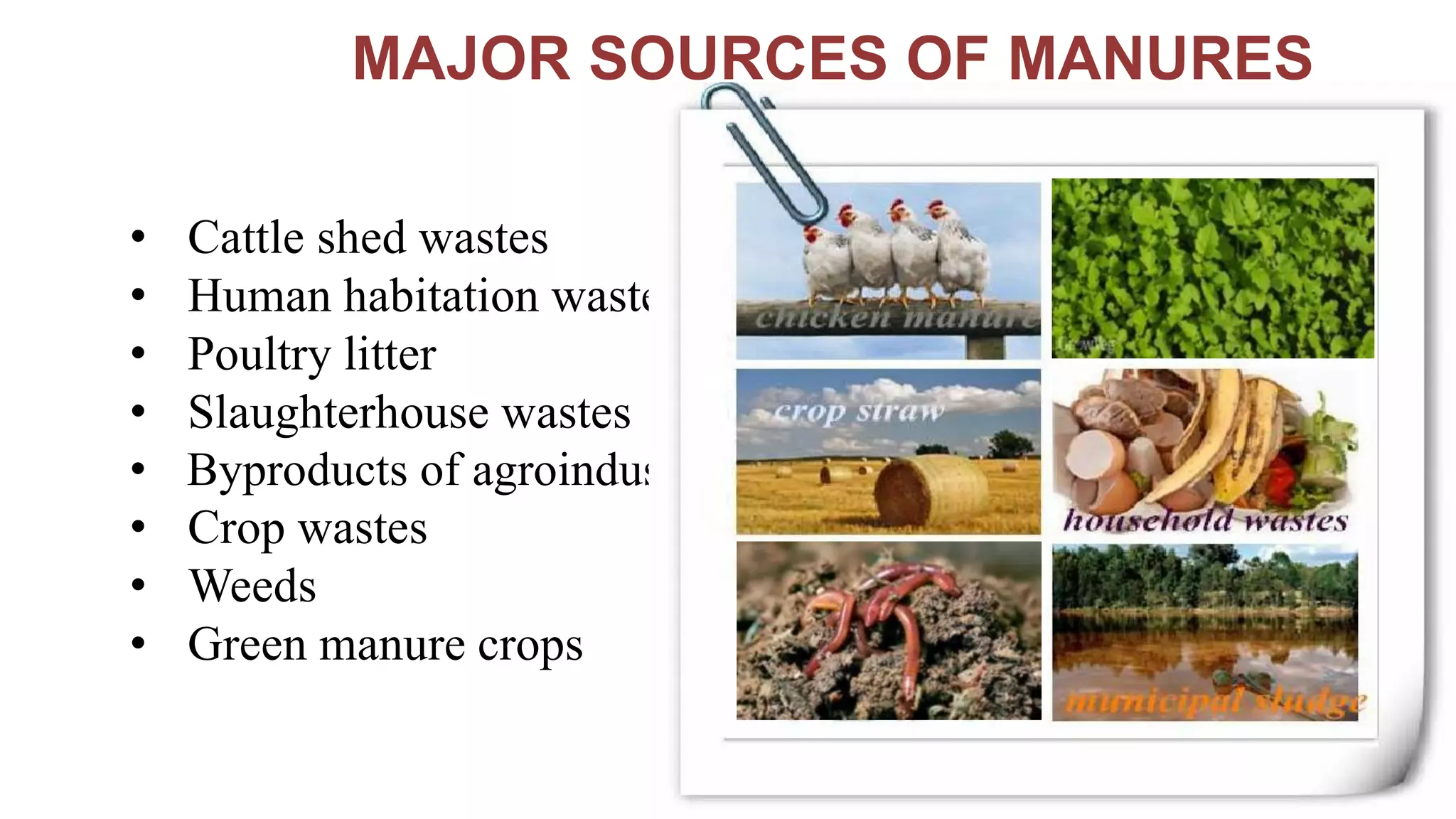 MAJOR SOURCES OF MANURES
• Cattle shed wastes
• Human habitation wastes
• Poultry litter
• Slaughterhouse wastes
• Byproducts of agroindustries
• Crop wastes
• Weeds
• Green manure crops
 