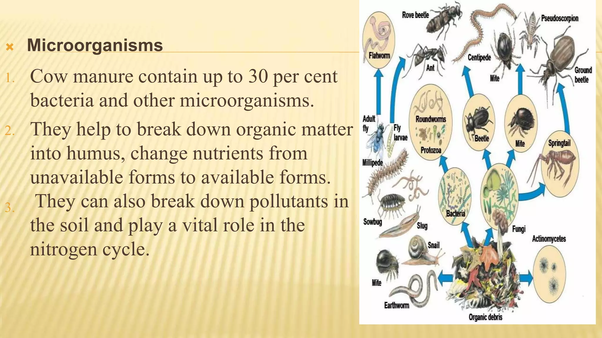  Microorganisms
1. Cow manure contain up to 30 per cent
bacteria and other microorganisms.
2. They help to break down organic matter
into humus, change nutrients from
unavailable forms to available forms.
They can also break down pollutants in
the soil and play a vital role in the
nitrogen cycle.
3.
 