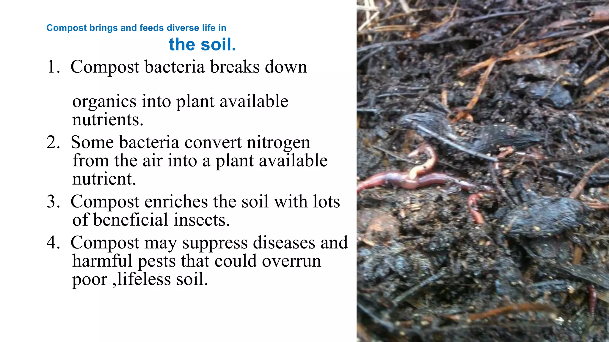Compost brings and feeds diverse life in
the soil.
1. Compost bacteria breaks down
organics into plant available
nutrients.
2. Some bacteria convert nitrogen
from the air into a plant available
nutrient.
3. Compost enriches the soil with lots
of beneficial insects.
4. Compost may suppress diseases and
harmful pests that could overrun
poor ,lifeless soil.
 