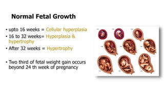 Normal Fetal Growth
• upto 16 weeks = Cellular hyperplasia
• 16 to 32 weeks= Hyperplasia &
hypertrophy
• After 32 weeks = Hypertrophy
• Two third of fetal weight gain occurs
beyond 24 th week of pregnancy
 