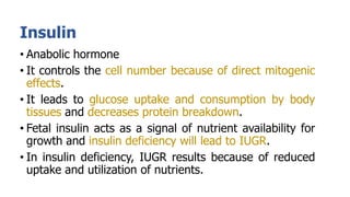 Insulin
• Anabolic hormone
• It controls the cell number because of direct mitogenic
effects.
• It leads to glucose uptake and consumption by body
tissues and decreases protein breakdown.
• Fetal insulin acts as a signal of nutrient availability for
growth and insulin deficiency will lead to IUGR.
• In insulin deficiency, IUGR results because of reduced
uptake and utilization of nutrients.
 