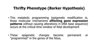 Thrifty Phenotype (Barker Hypothesis)
• This metabolic programming (epigenetic modification ie,
those molecular mechanisms affecting gene expression
patterns without causing alterations in DNA base sequence)
occurs at the critical time window of fetal development
• These epigenetic changes become permanent or
“programmed” in the genes of the fetus.
 