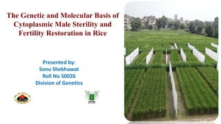 The Genetic and Molecular Basis of
Cytoplasmic Male Sterility and
Fertility Restoration in Rice
Presented by:
Sonu Shekhawat
Roll No 50026
Division of Genetics
 