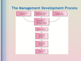 Manage Development Seminar on management development | PPT