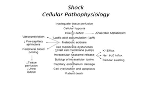 Management of Shock for Pediatrics.pptx