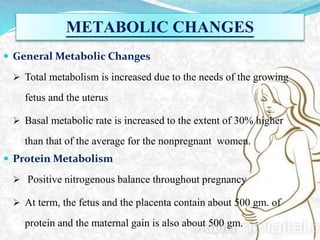 maternal adaptation during pregnancy | PPTX