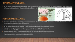 PRIMARY PALATE :
• By the fusion of the maxillary and medial nasal process in the roof of stomodaeum the primitive palate ( or primary palate)
is formed, and the olfactory pits extend backward above it.
SECONDARY PALATE :
• The development of the secondary palate commences in the 6th week of IUL. It is characterized by the formation of two
palatal shelves on the maxillary prominences.
• As the palatal shelves grow medially , their union is prevented by the presence of tongue.
• Initially the developing palatal shelves grow vertically toward the floor of mouth.
• During 7th week of IUL , a transformation in the the position of the palatine shelf occurs.
• They change from a vertical to a horizontal position.
 