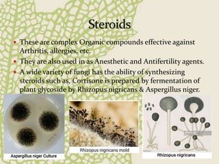  These are complex Organic compounds effective against
Arthritis, allergies, etc.
 They are also used in as Anesthetic and Antifertility agents.
 A wide variety of fungi has the ability of synthesizing
steroids such as, Cortisone is prepared by fermentation of
plant glycoside by Rhizopus nigricans & Aspergillus niger.
 