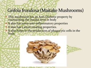  This mushroom has an Anti-Diabetic property by
maintaining the Insulin level in body
 It also has some anti-inflammatory properties
 It also has Cancer treating properties.
 It also helps in the production of phagocytic cells in the
body.
 