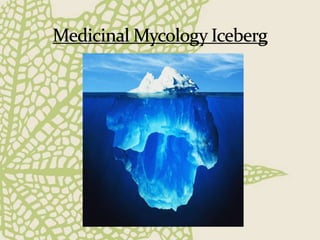 Medicinal Uses Fungi.