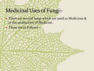  There are several fungi which are used as Medicines &
in the production of Medicine.
 These are as Follows :-
 