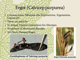  Contains some Alkaloids like Ergometrine, Ergotamine,
Ergosterol.
 These are used for :
 To induce Uterine contraction for Abortion.
 Treatment of Menstural disorder.
 To Check Haemorrhages
 