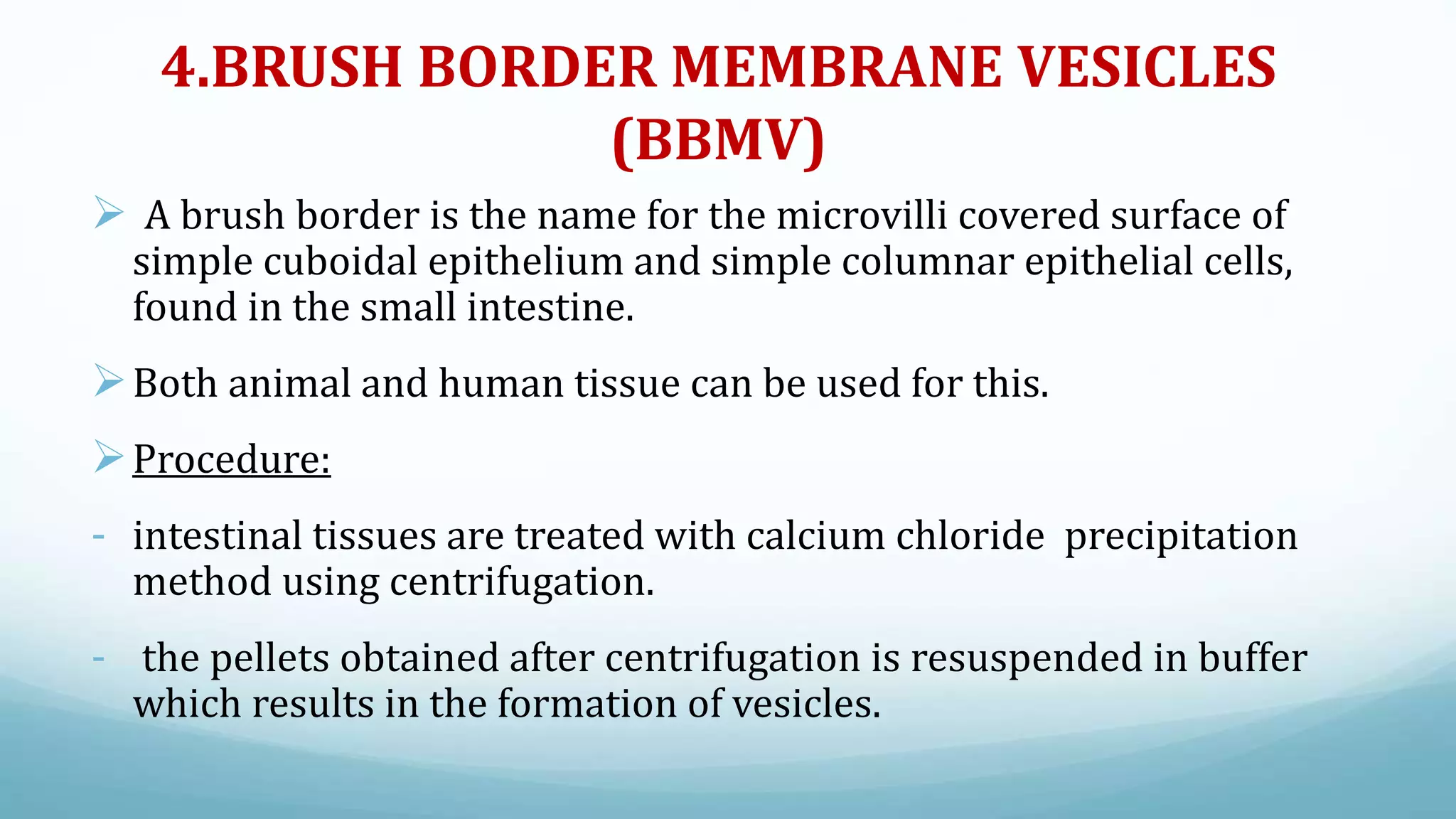 4.BRUSH BORDER MEMBRANE VESICLES
(BBMV)
 A brush border is the name for the microvilli covered surface of
simple cuboidal epithelium and simple columnar epithelial cells,
found in the small intestine.
Both animal and human tissue can be used for this.
Procedure:
- intestinal tissues are treated with calcium chloride precipitation
method using centrifugation.
- the pellets obtained after centrifugation is resuspended in buffer
which results in the formation of vesicles.
 