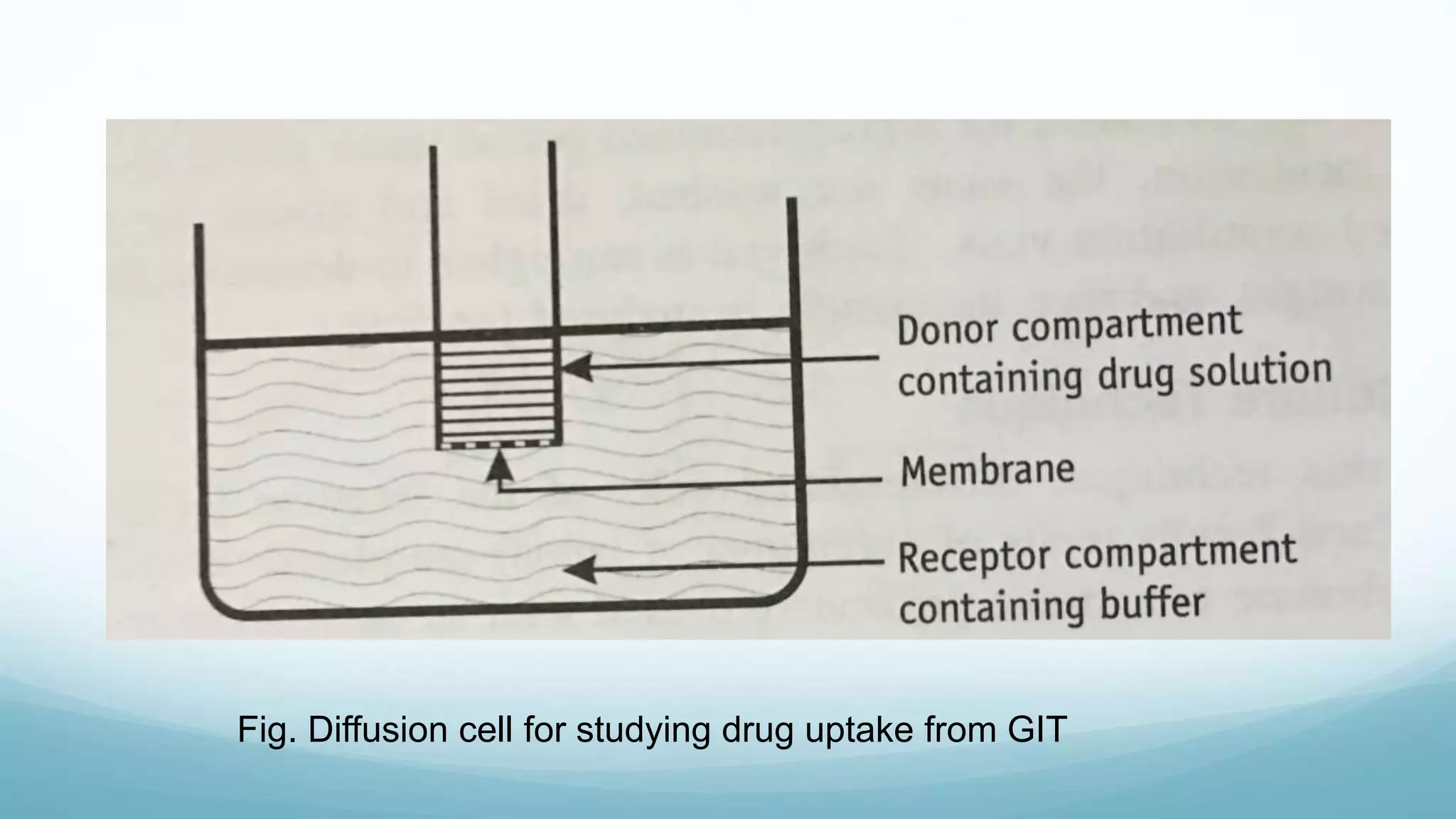 Fig. Diffusion cell for studying drug uptake from GIT
 