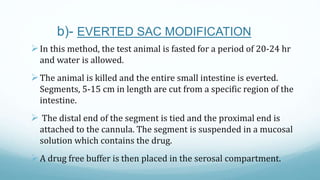 b)- EVERTED SAC MODIFICATION
In this method, the test animal is fasted for a period of 20-24 hr
and water is allowed.
Th...